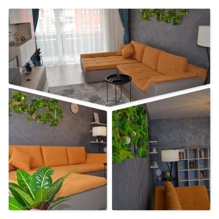 Marimonti Apartment Брашов Экстерьер фото